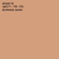 #D39E7B - Burning Sand Color Image